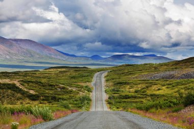 Manzara Denali karayolu üzerinde