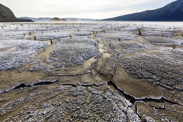 砂漠の乾燥地帯 — ストック写真