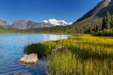 Wrangell-St. Elias Ulusal Parkı