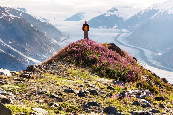 Caminata en el glaciar Salmón — Foto de Stock