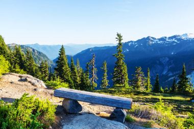 Mt. Baker rekreasyon alanı
