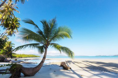 Serenity tropikal plaj