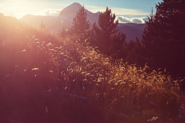 Горный ландшафт в горах Колорадо
