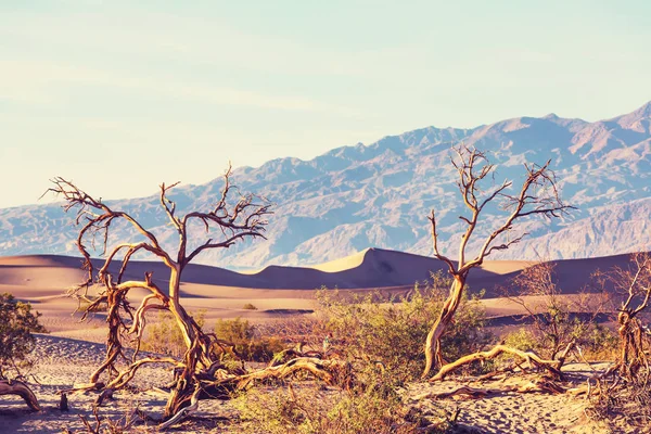 Sanddünen im Death Valley Nationalpark — Stockfoto