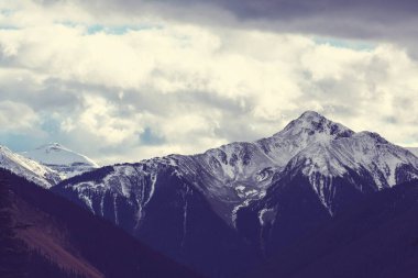 Colorado Rocky dağlarında dağ manzarası