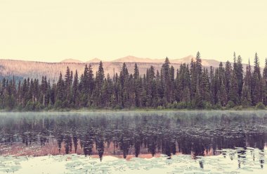 Kanada'da dağ gölü sakin sahne