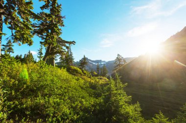 MT Baker rekreasyon alanı