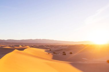 Ölüm Vadisi Ulusal Parkı 'ndaki kum tepeleri