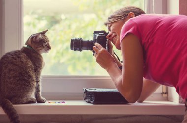 Kedi ve fotoğrafçı penceresinde