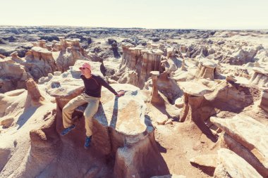 Bisti badlands, De-na-zin vahşi alanı