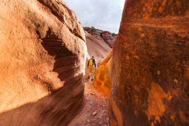 Uzun yürüyüşe çıkan kimse Utah dağlarda