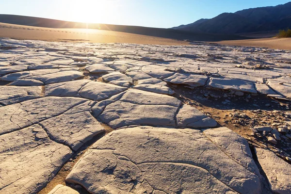Сухі землі в пустелі — стокове фото