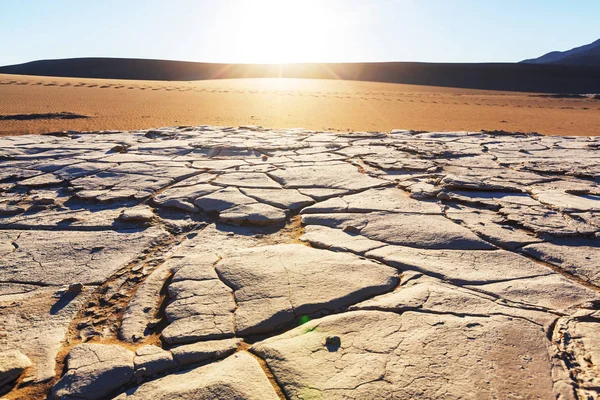 砂漠の乾燥地 — ストック写真