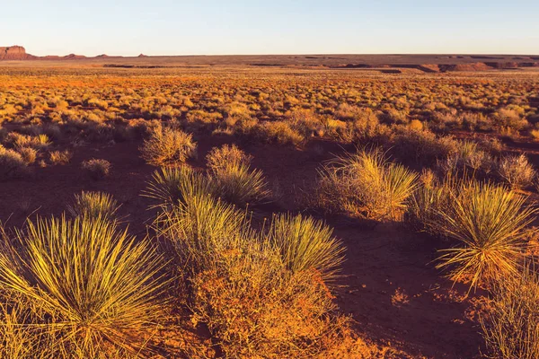 Prachtige landschappen van de Prairie — Stockfoto