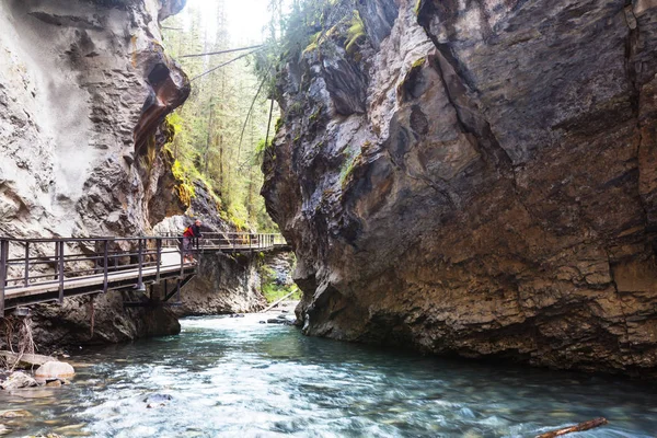 Johnston Canyon in Banff NP, — Stock Photo, Image