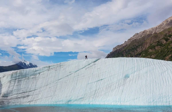 Wandelaar in Alaska op de zomer — Stockfoto