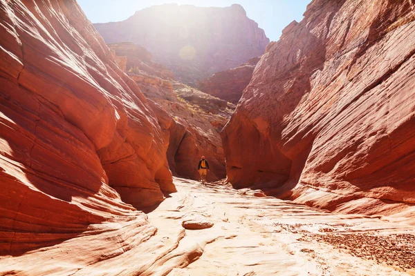 Senderista en las montañas de Utah — Foto de Stock