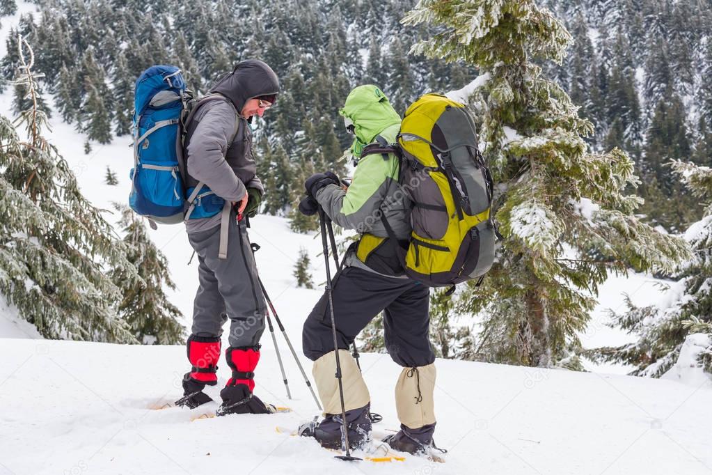 Hikers in the winter mountains