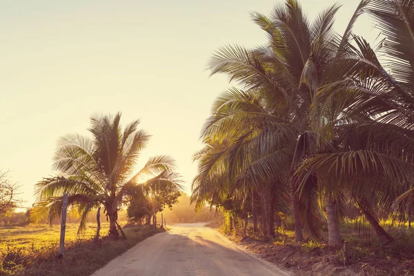 Route des saletés dans la jungle reculée — Photo