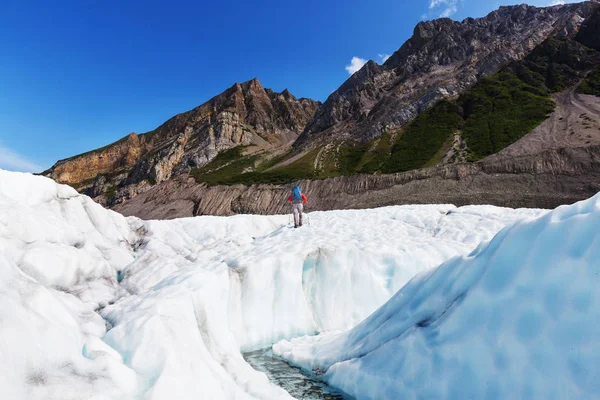 阿拉斯加在夏季的徒步旅行者 — 图库照片