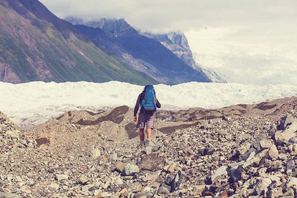 Мандрівного на Алясці в літній час — стокове фото
