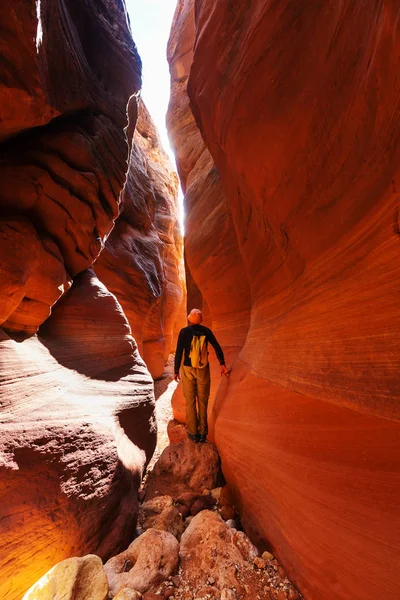 Hiker in the Utah mountains — Stock Photo, Image