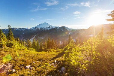 MT Baker rekreasyon alanı