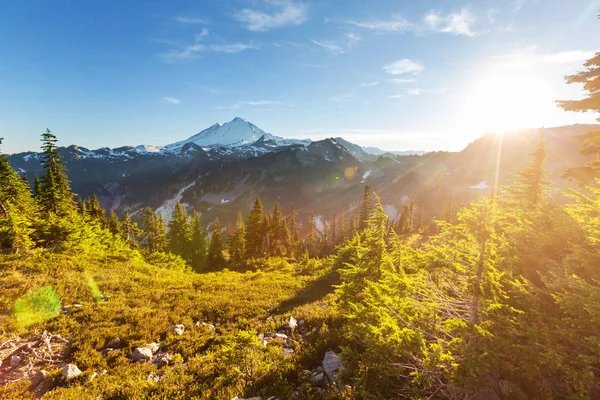 Área recreativa Mt Baker — Foto de Stock