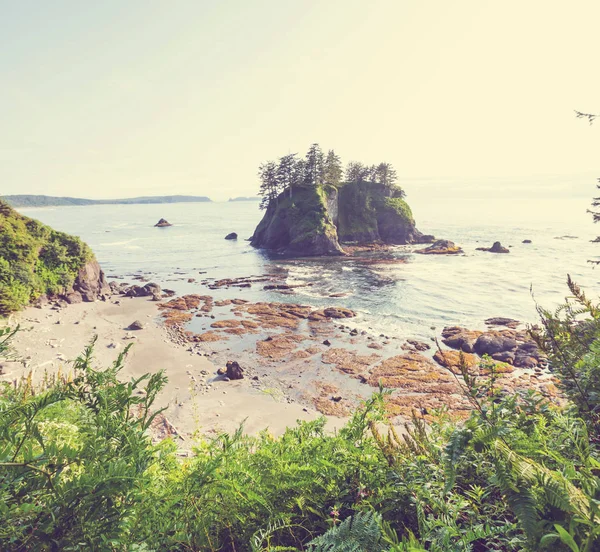 Scenic and rigorous Pacific coast — Stock Photo, Image