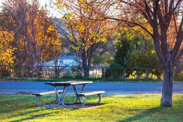 Çimlerde piknik masası — Stok fotoğraf