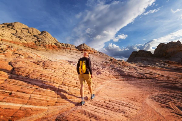 Wandelaar in de bergen van Utah — Stockfoto