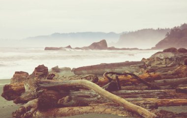 Doğa Manzaralı ve titiz Pasifik Sahili