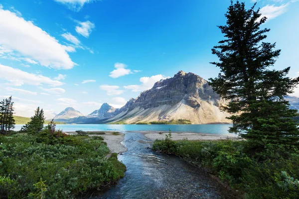 Bow Lake, ledovcových Parkway — Stock fotografie