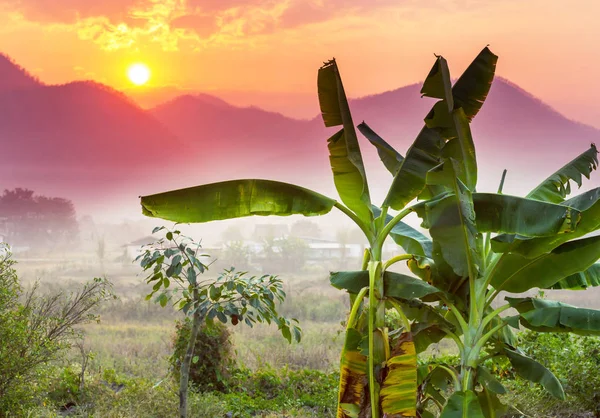 Paisajes rurales en el norte de Tailandia — Foto de Stock