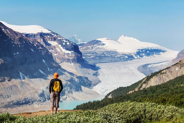 캐나다 산에 하이킹 남자. — 스톡 사진