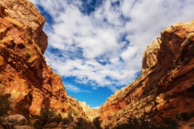 Capitol Resifi Ulusal Parkı