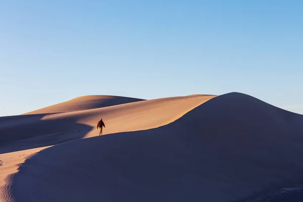 Πεζοπόρος στην άμμο της ερήμου. — Φωτογραφία Αρχείου