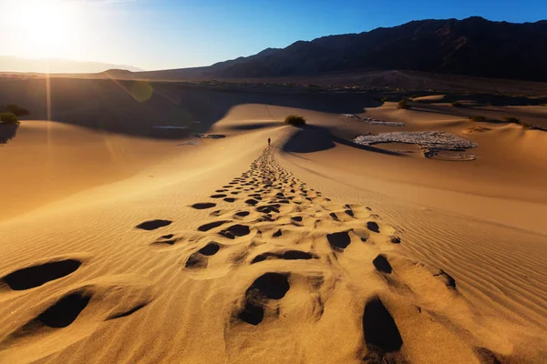 Caminhante no deserto de areia . — Fotografia de Stock