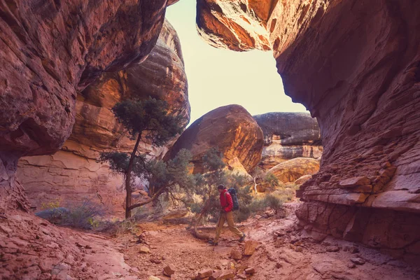 Escursionista sulle montagne dello Utah — Foto Stock