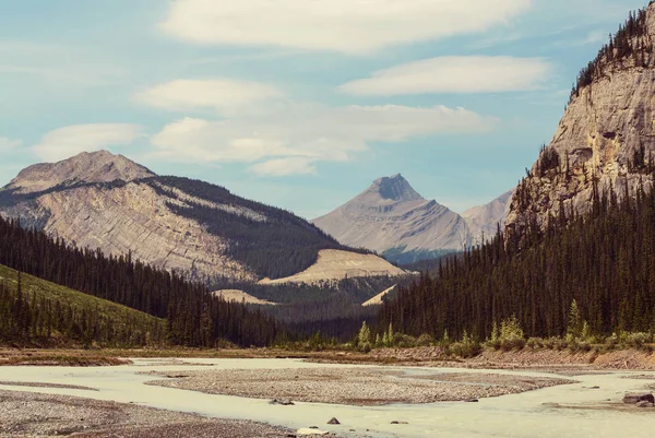 Pittoreska kanadensiska berg — Stockfoto