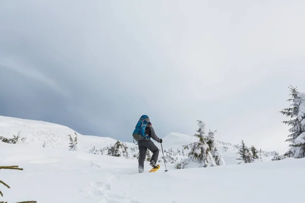 Hiker in the winter mountains — Stock Photo, Image