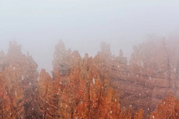 Bryce canyon se sněhem — Stock fotografie