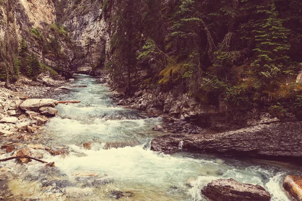 Parque Nacional Jasper — Foto de Stock