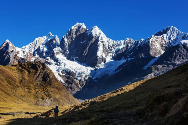 Wandelen scène in Cordillera bergen — Stockfoto