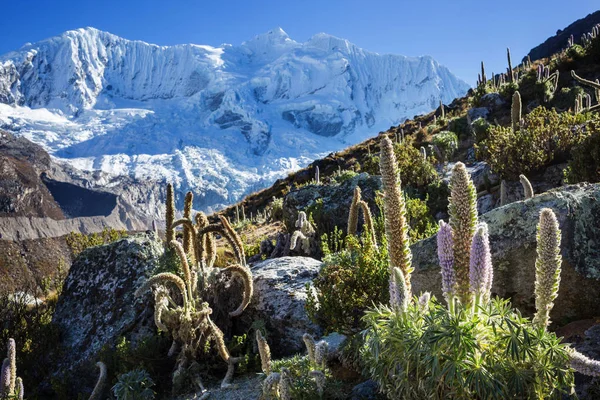 Piękne góry krajobrazy w Cordillera Huayhuash — Zdjęcie stockowe