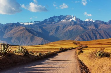 Pampas landscapes in  Cordillera de Los Andes