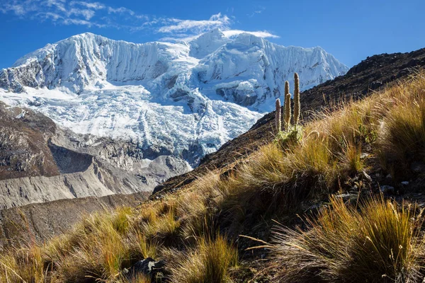 Güzel dağlarının Cordillera yükseltisidir manzaralar