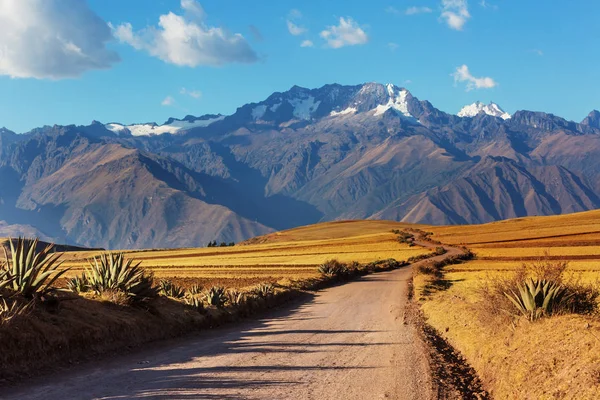 Pampaslandskap i Cordillera de Los Andes – stockfoto