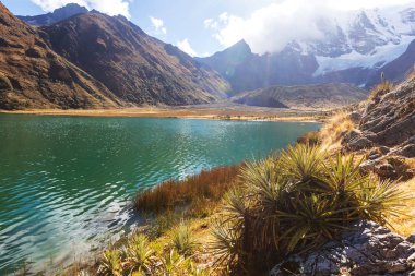 Güzel dağlarının Cordillera yükseltisidir manzaralar