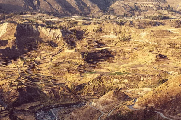 Cañón Colca en Perú — Foto de Stock